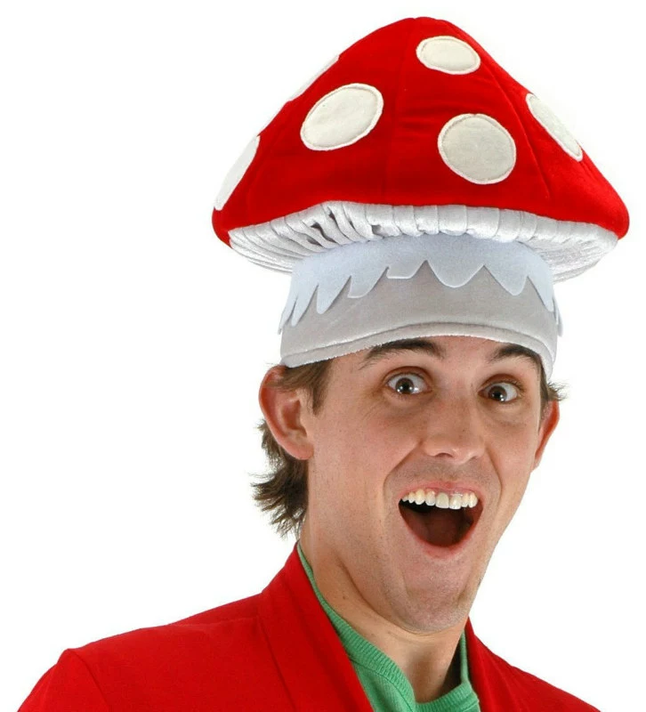 Mushroom Hat 1 Mushroom Hat