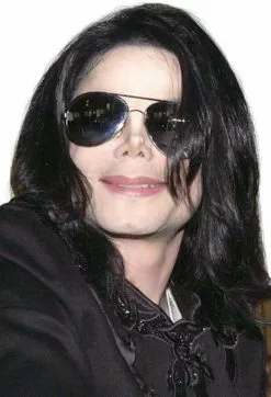 Michael Jackson Adult Long Straight Wig W/ Glasses