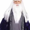 Wizard Adult Disguise Set