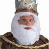 King Neptune Wig Adult